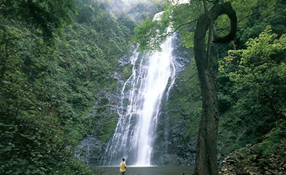 Cascades 